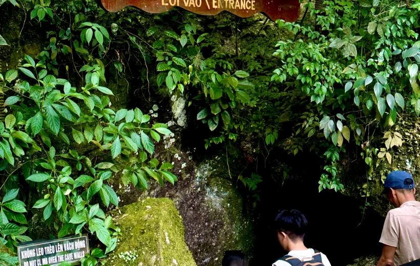 3-Day Phong Nha Adventure: Discover Majestic Nature and Unique Culture