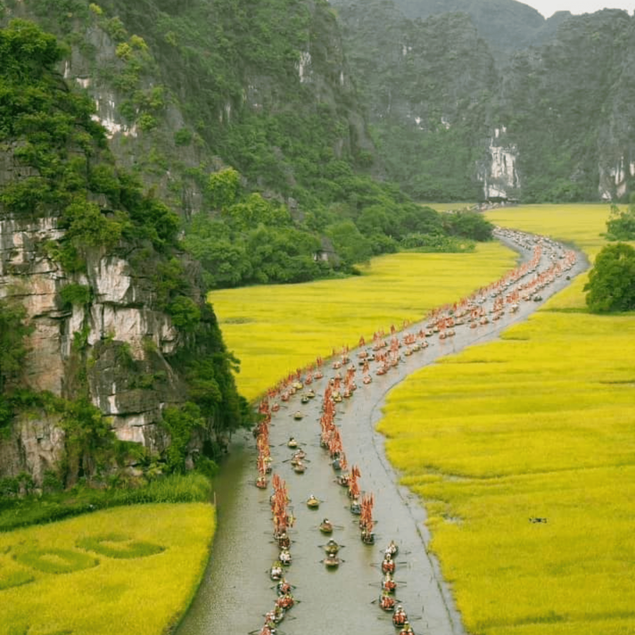 Programme de découverte de la nature de Ninh Bình : Hoa Lư - Tam Cốc - Grotte de Múa - Pagode Bai Dinh